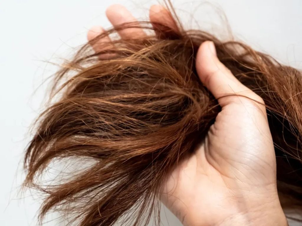 Nhan biet toc hu ton bang cach so vao phan duoi toc”