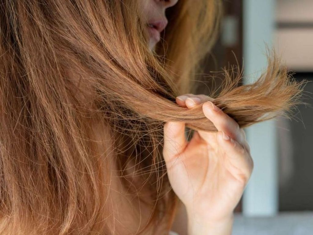 San pham dau goi phuc hoi toc phu hop voi toc hu ton