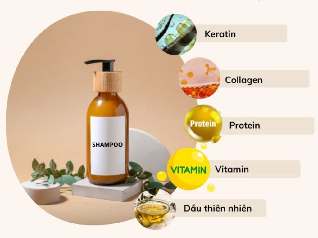 Cac thanh phan co trong dau goi phuc hoi toc