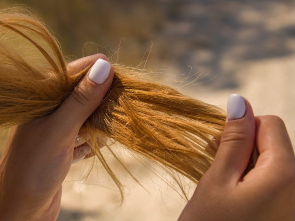 Toc hu ton khien toc mat kha nang dan hoi